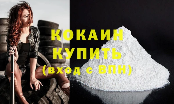 соль ск Няндома