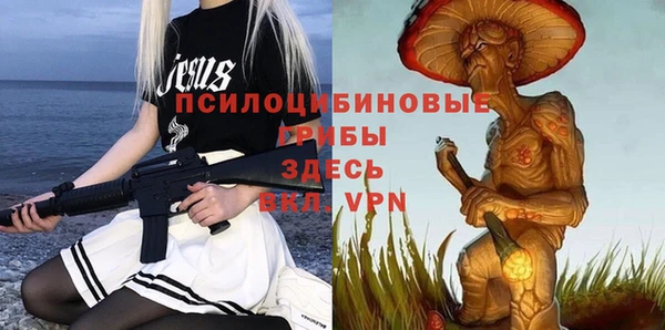 ALPHA PVP Алексин