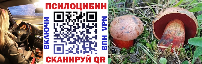 Галлюциногенные грибы прущие грибы  Иннополис 